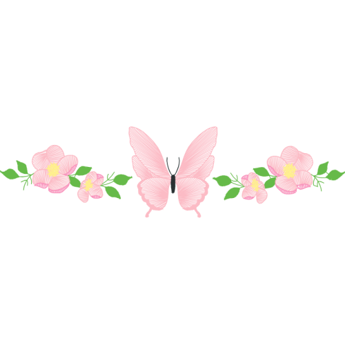 Barn Owl Animals Barn Owl Animals