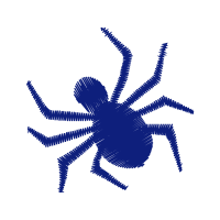 Barn Spider Animals Barn Spider Animals