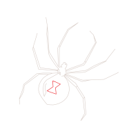 Barn Spider Animals Barn Spider Animals