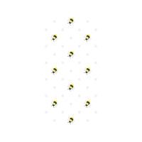 Beetles Animals Beetles Animals