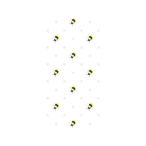 Beetles Animals Beetles Animals