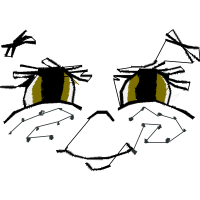 Beetles Animals Beetles Animals