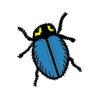 Beetles Animals Beetles Animals