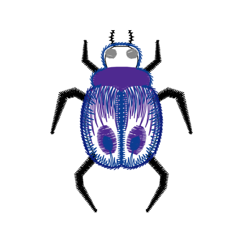 Beetles Animals Beetles Animals