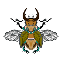 Beetles Animals Beetles Animals