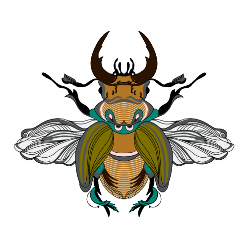 Beetles Animals Beetles Animals