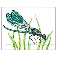 Braconid Wasps Animals Braconid Wasps Animals