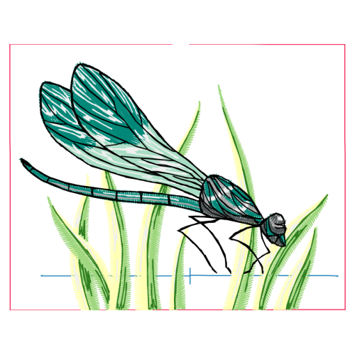 Braconid Wasps Animals Braconid Wasps Animals