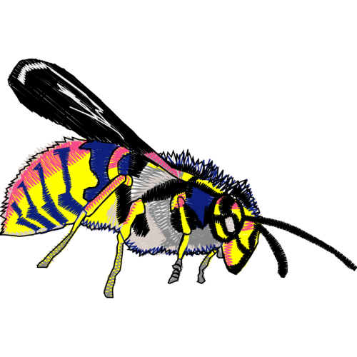 Braconid Wasps Animals Braconid Wasps Animals