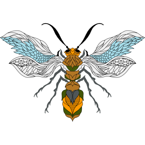 Braconid Wasps Animals Braconid Wasps Animals