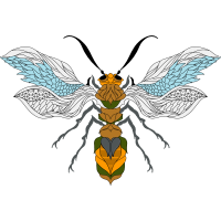 Braconid Wasps Animals