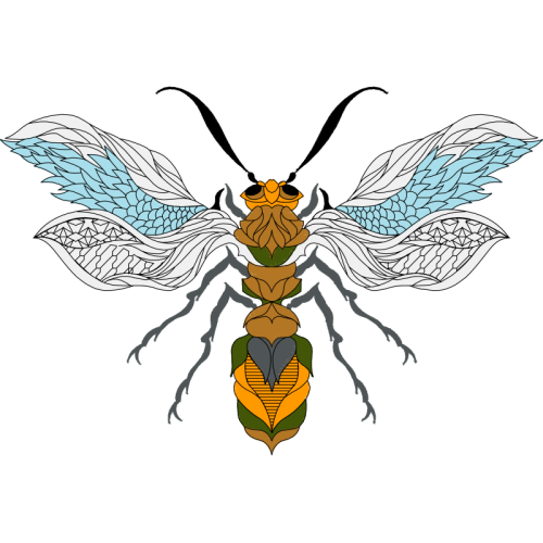 Braconid Wasps Animals Braconid Wasps Animals