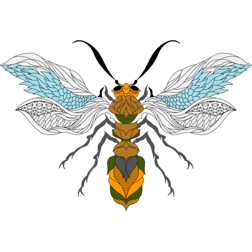 Braconid Wasps Animals Braconid Wasps Animals