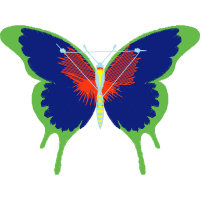 Brush Footed Butterflies Animals Brush Footed Butterflies Animals