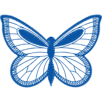 Brush Footed Butterflies Animals Brush Footed Butterflies Animals