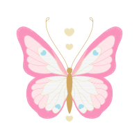 Brush Footed Butterflies Animals