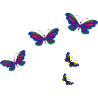 Brush Footed Butterflies Animals Brush Footed Butterflies Animals