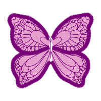 Brush Footed Butterflies Animals Brush Footed Butterflies Animals