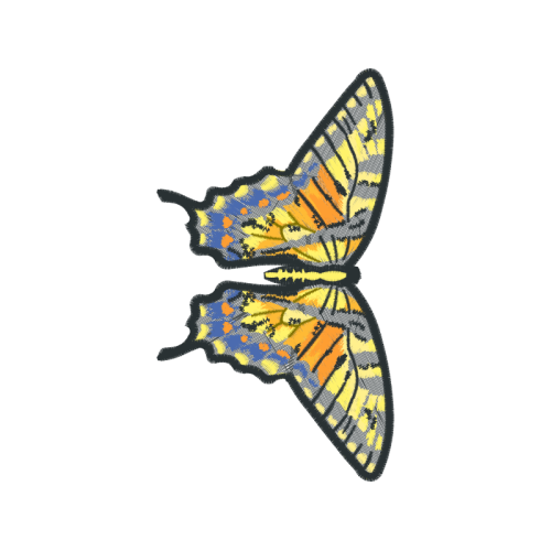 Brush Footed Butterflies Animals Brush Footed Butterflies Animals