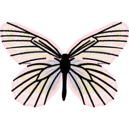 Brush Footed Butterflies Animals Brush Footed Butterflies Animals