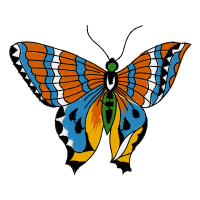 Brush Footed Butterflies Animals