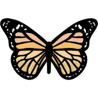 Brush Footed Butterflies Animals Brush Footed Butterflies Animals