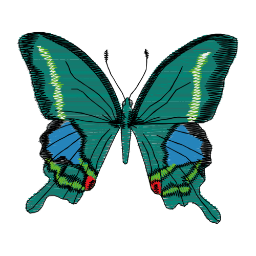 Brush Footed Butterflies Animals Brush Footed Butterflies Animals