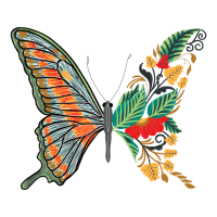 Brush Footed Butterflies Animals Brush Footed Butterflies Animals