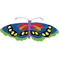 Brush Footed Butterflies Animals Brush Footed Butterflies Animals