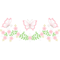 Brush Footed Butterflies Animals