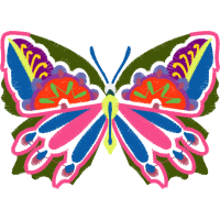 Brush Footed Butterflies Animals Brush Footed Butterflies Animals