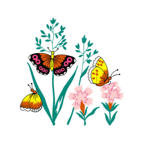 Brush Footed Butterflies Animals Brush Footed Butterflies Animals