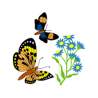 Brush Footed Butterflies Animals Brush Footed Butterflies Animals