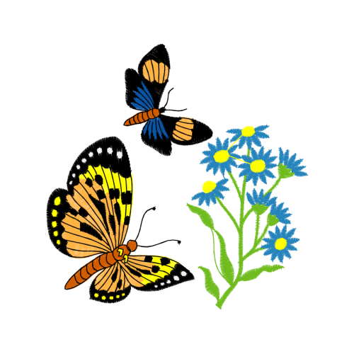 Brush Footed Butterflies Animals Brush Footed Butterflies Animals