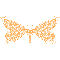 Brush Footed Butterflies Animals Brush Footed Butterflies Animals