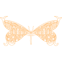 Brush Footed Butterflies Animals Brush Footed Butterflies Animals