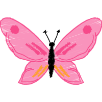 Brush Footed Butterflies Animals Brush Footed Butterflies Animals