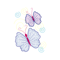 Brush Footed Butterflies Animals