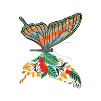 Brush Footed Butterflies Animals Brush Footed Butterflies Animals