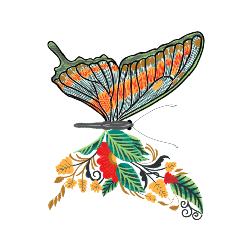 Brush Footed Butterflies Animals Brush Footed Butterflies Animals