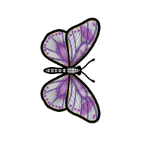 Brush Footed Butterflies Animals