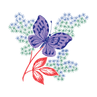 Brush Footed Butterflies Animals Brush Footed Butterflies Animals