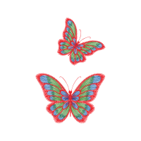 Brush Footed Butterflies Animals Brush Footed Butterflies Animals