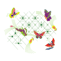 Brush Footed Butterflies Animals