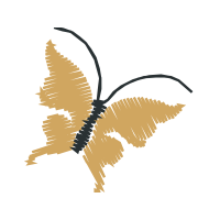 Brush Footed Butterflies Animals Brush Footed Butterflies Animals