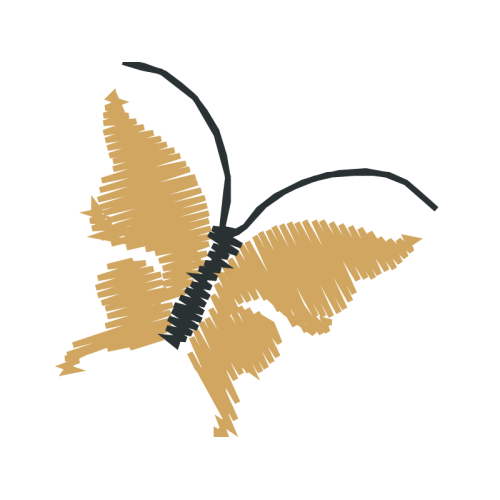 Brush Footed Butterflies Animals Brush Footed Butterflies Animals