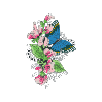 Brush Footed Butterflies Animals Brush Footed Butterflies Animals