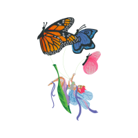 Brush Footed Butterflies Animals Brush Footed Butterflies Animals