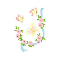 Brush Footed Butterflies Animals