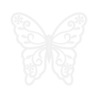 Brush Footed Butterflies Animals Brush Footed Butterflies Animals